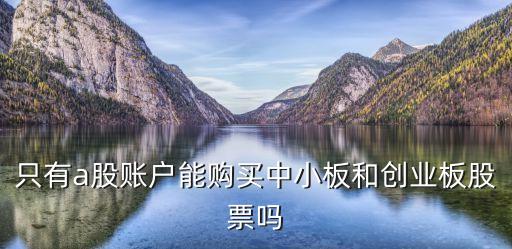 只有a股賬戶能購(gòu)買中小板和創(chuàng)業(yè)板股票嗎
