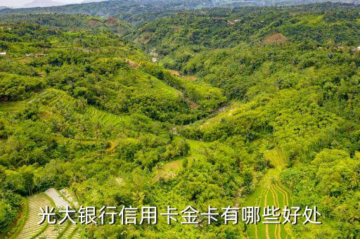 光大信用卡有什么優(yōu)勢，誰知道辦理光大銀行信用卡有些什么好處啊
