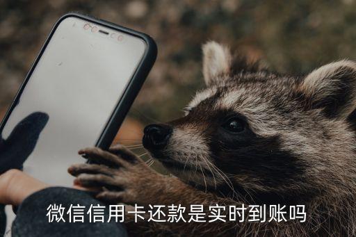 微信信用卡還款什么時(shí)候到賬嗎，微信信用卡還款是實(shí)時(shí)到賬嗎