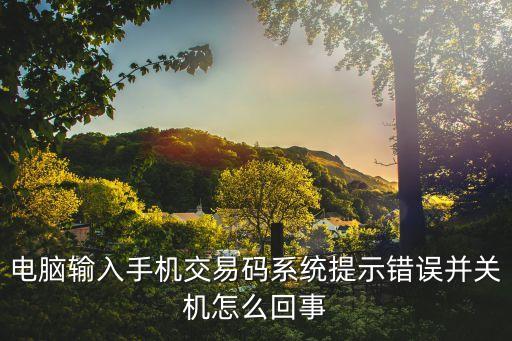 電腦輸入手機(jī)交易碼系統(tǒng)提示錯(cuò)誤并關(guān)機(jī)怎么回事