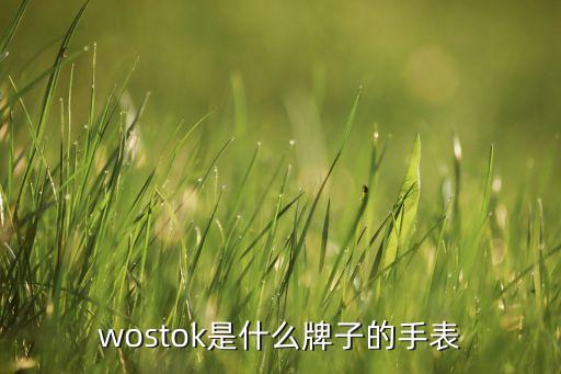 沃資道什么牌子，wostok是什么牌子的手表