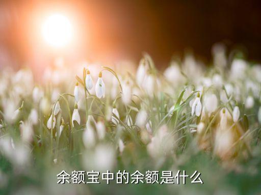 余額寶 余額賬戶余額是什么意思啊，余額寶中的余額是什么