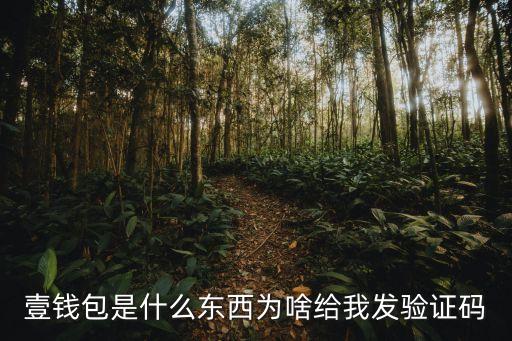 壹錢包是什么東西為啥給我發(fā)驗(yàn)證碼