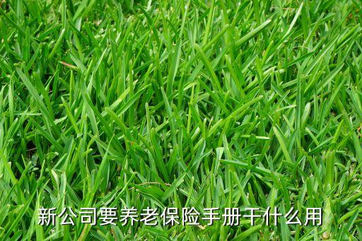 養(yǎng)老手冊(cè)是什么，新公司要養(yǎng)老保險(xiǎn)手冊(cè)干什么用