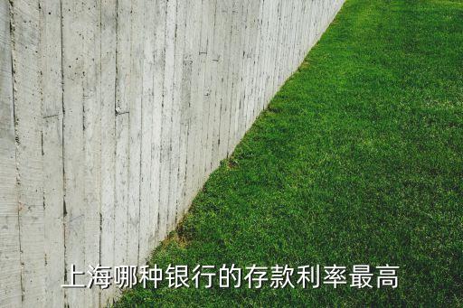 上海什么利息有12點，上海哪個銀行貸款利率最底