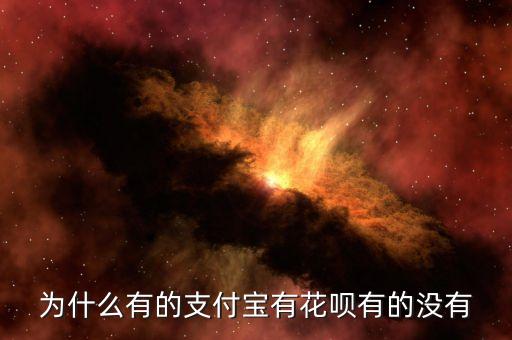 為什么有的可以用花唄支付，我是商家為什么有的人可以用花唄給我付款有的不行