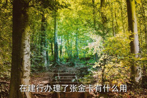 機(jī)場金卡有什么用，辦金卡有什么好處或壞處