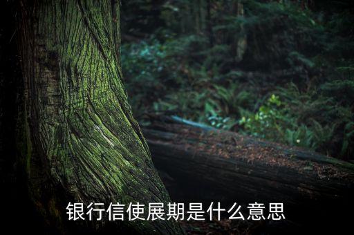 銀行信使展期是什么意思