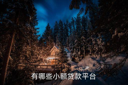 有哪些小額貸款平臺