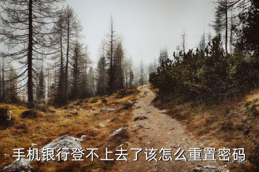 手機(jī)銀行登不上去了該怎么重置密碼