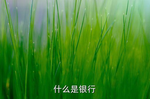 什么是銀行