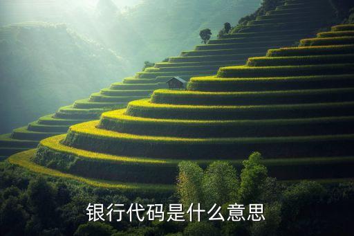 什么是銀行代碼是什么意思啊，銀行代碼是什么意思和銀行卡號有什么區(qū)別