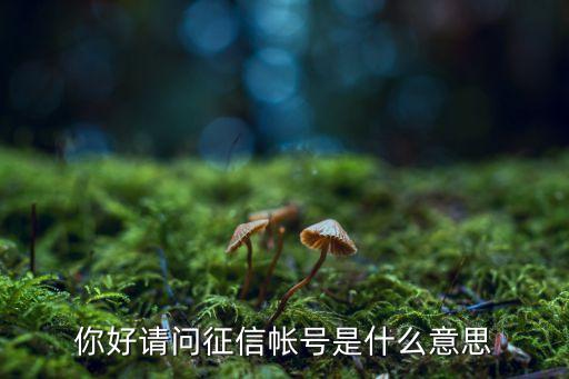 征信登入賬號是什么意思，征信帳號是什么