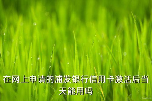 在網(wǎng)上申請(qǐng)的浦發(fā)銀行信用卡激活后當(dāng)天能用嗎