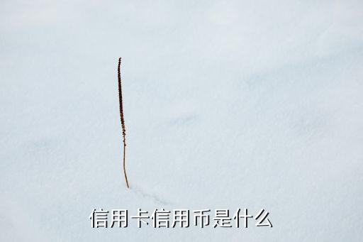 卡幣是什么，卡幣和裸幣的區(qū)別