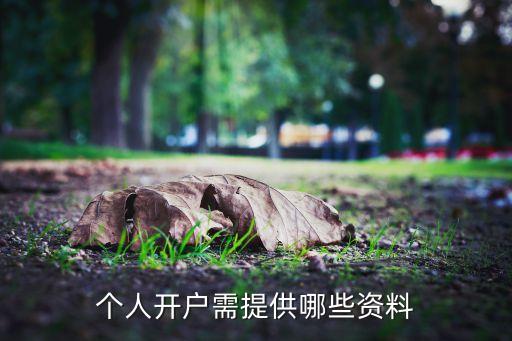 現(xiàn)在開戶需要什么手續(xù)，個人開戶需提供哪些資料