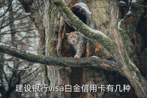 建設(shè)銀行visa白金信用卡有幾種