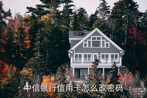 中信銀行卡怎么改密碼是什么，求助中信銀行信用卡怎么修改密碼