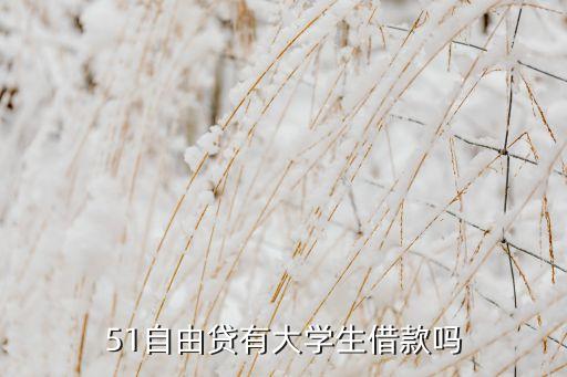 51自由貸有大學生借款嗎