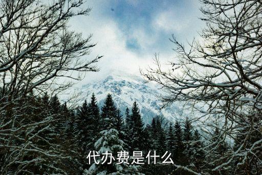 貸款代辦費(fèi)是什么，貸款服務(wù)費(fèi)是什么一般是多少