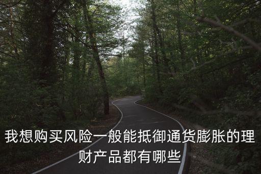我想購(gòu)買(mǎi)風(fēng)險(xiǎn)一般能抵御通貨膨脹的理財(cái)產(chǎn)品都有哪些