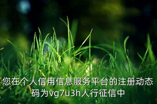 征信動(dòng)態(tài)碼是什么，您在個(gè)人信用信息服務(wù)平臺(tái)的注冊(cè)動(dòng)態(tài)碼為vg7u3h人行征信中