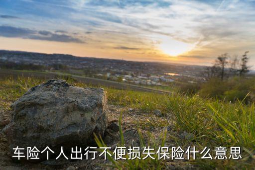 車險(xiǎn)個(gè)人出行不便損失保險(xiǎn)什么意思