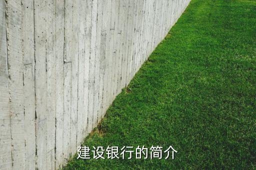 建設(shè)銀行的簡(jiǎn)介