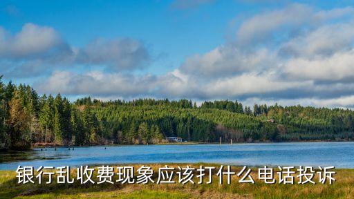 銀行亂收費現象應該打什么電話投訴