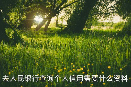 去人民銀行查詢個(gè)人信用需要什么資料