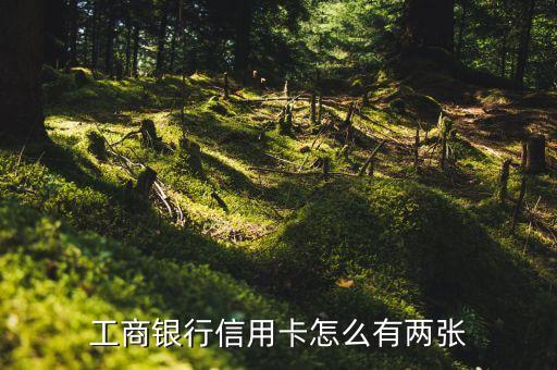 工商白金卡為什么兩張，工商信用卡為什么兩張
