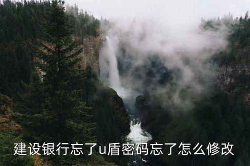 建行u盾密碼怎么重置密碼是什么，建行u盾密碼忘記了怎么辦