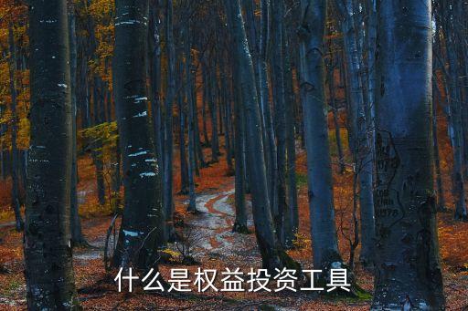 什么是權(quán)益投資工具