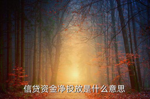 貸款凈投放是什么意思，什么為凈投放