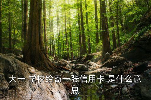 大一 學校給寄一張信用卡 是什么意思