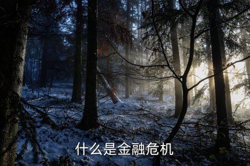 什么是金融危機