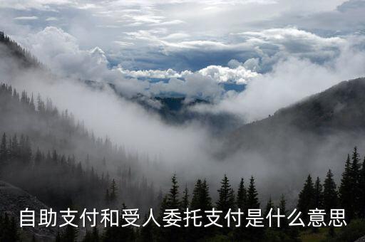 自助支付和受人委托支付是什么意思