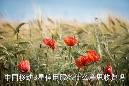 信用套餐什么意思是什么意思是什么，信用卡套是什么意思