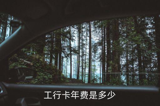 工行卡年費(fèi)是多少
