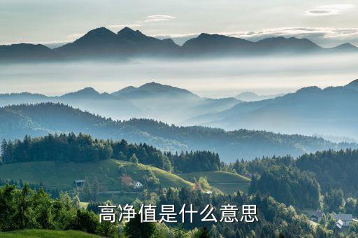 高凈值是什么意思