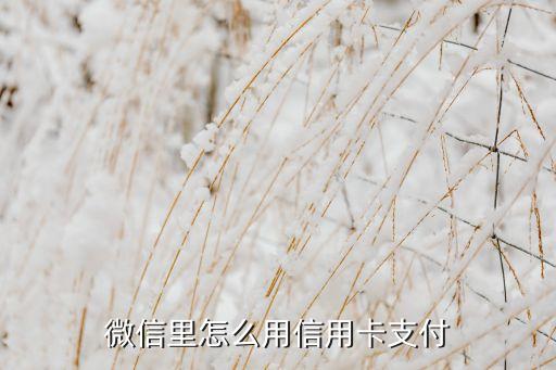 微信里怎么用信用卡支付