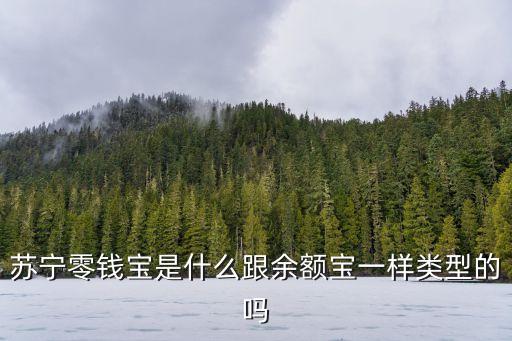 蘇寧零錢寶是什么跟余額寶一樣類型的嗎