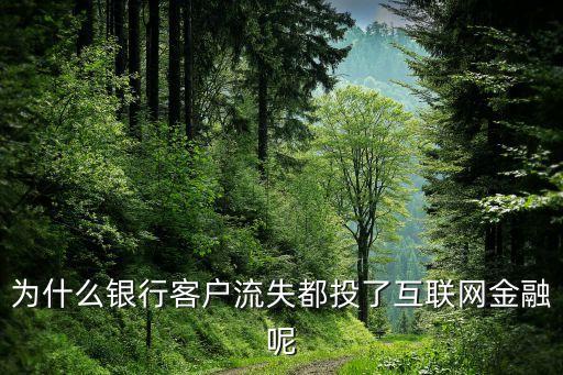 為什么投資互聯(lián)網(wǎng)金融公司，為什么銀行客戶流失都投了互聯(lián)網(wǎng)金融呢