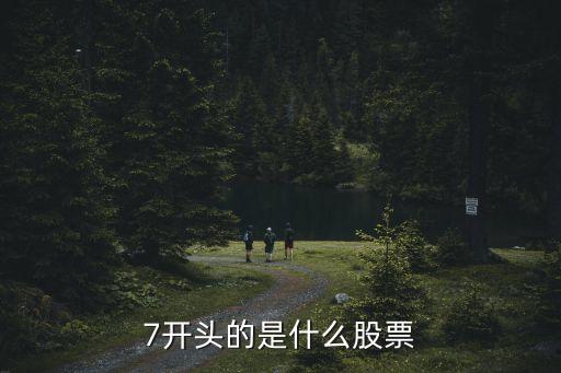 7開頭什么股票代碼，7開頭的是什么股票以7打頭的股票是什么