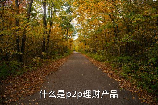 p2p理財(cái)?shù)降资裁匆馑?，什么是P2P理財(cái)