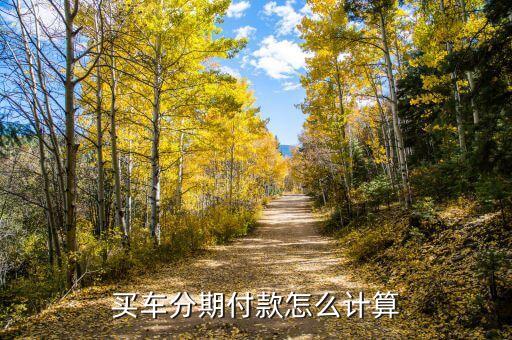 分期付款買車沒錢怎么計算器，分期付款買車計算器哪兒有