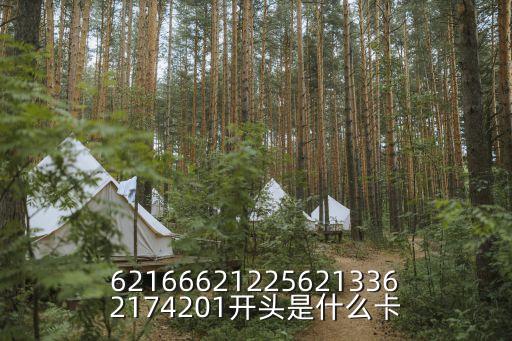 621666212256213362174201開(kāi)頭是什么卡