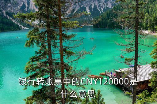 銀行轉(zhuǎn)賬票中的CNY120000是什么意思