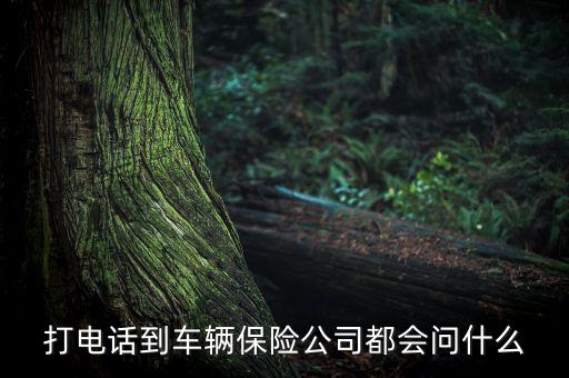 打電話到車輛保險(xiǎn)公司都會(huì)問什么