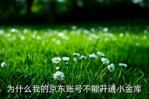 為什么我的京東賬號不能開通小金庫
